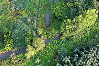 BUITEN BEELD Foto: 260005