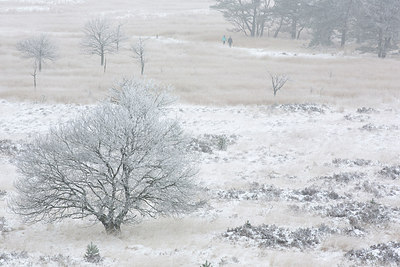 BUITEN BEELD Foto: 260112