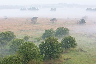 BUITEN BEELD Foto: 260119