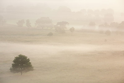 BUITEN BEELD Foto: 260229