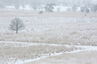 BUITEN BEELD Foto: 260245