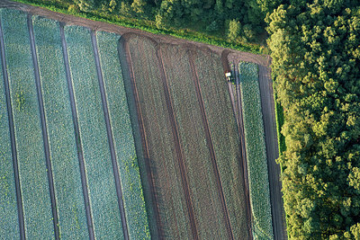 BUITEN BEELD Foto: 260260