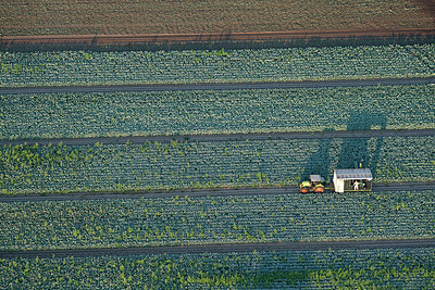BUITEN BEELD Foto: 260298
