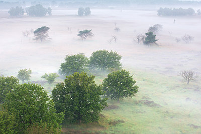 BUITEN BEELD Foto: 260345