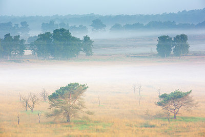 BUITEN BEELD Foto: 260376