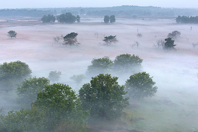 BUITEN BEELD Foto: 260381