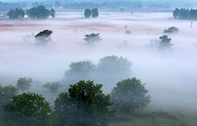 BUITEN BEELD Foto: 260399