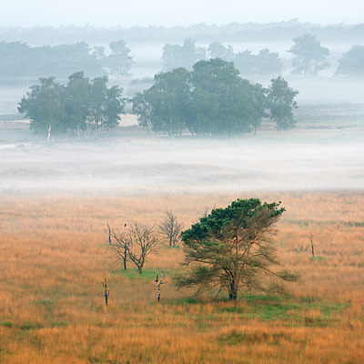 BUITEN BEELD Foto: 260401