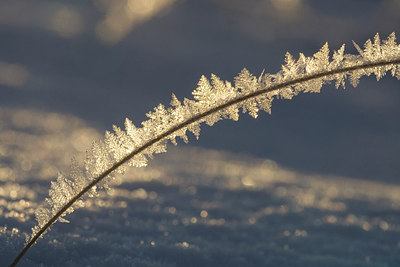 BUITEN BEELD Foto: 260438