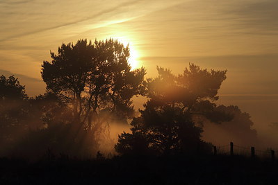 BUITEN BEELD Foto: 260442