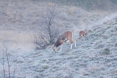 BUITEN BEELD Foto: 260456