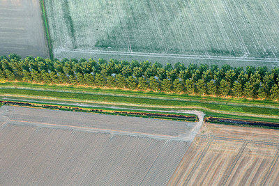 BUITEN BEELD Foto: 260483