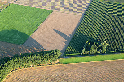 BUITEN BEELD Foto: 260539