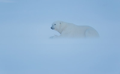 BUITEN BEELD Foto: 260862