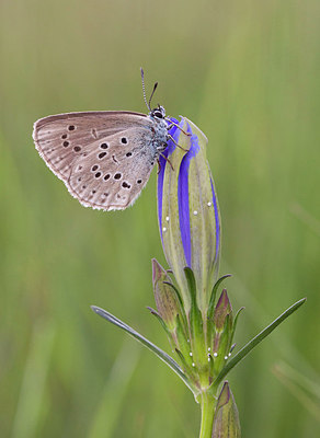 BUITEN BEELD Foto: 260864