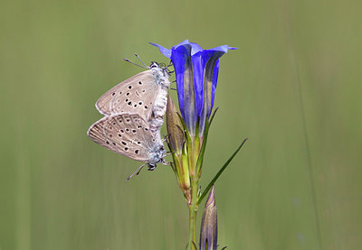 BUITEN BEELD Foto: 260866