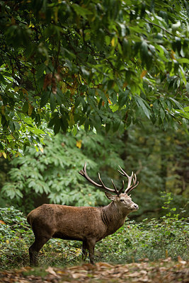 BUITEN BEELD Foto: 261023