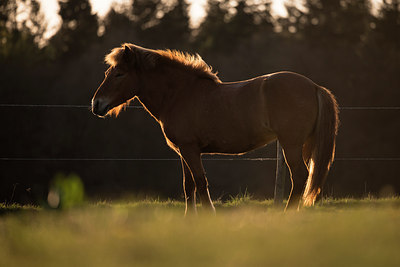 BUITEN BEELD Foto: 261037