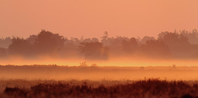 BUITEN BEELD Foto: 261174