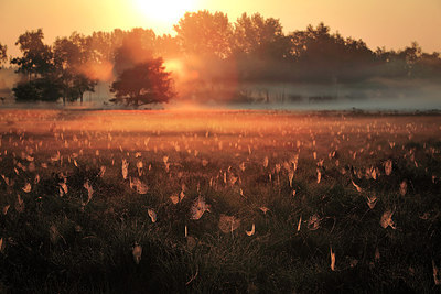 BUITEN BEELD Foto: 261175