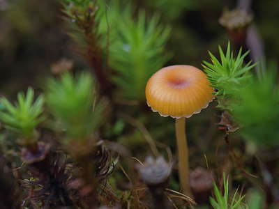 BUITEN BEELD Foto: 261216