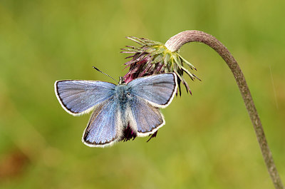 BUITEN BEELD Foto: 261258