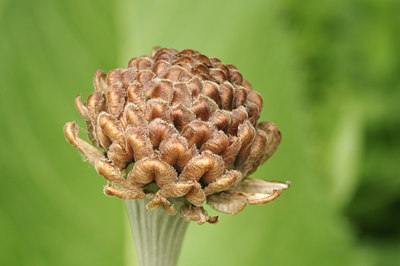 BUITEN BEELD Foto: 261273