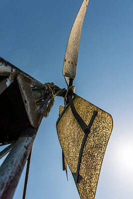 BUITEN BEELD Foto: 261283