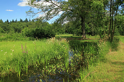 BUITEN BEELD Foto: 261369