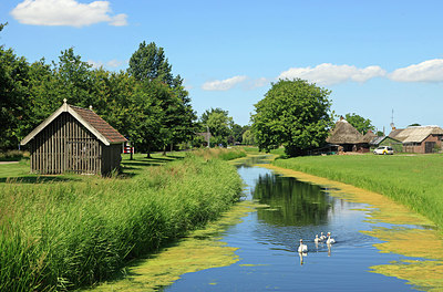 BUITEN BEELD Foto: 261376