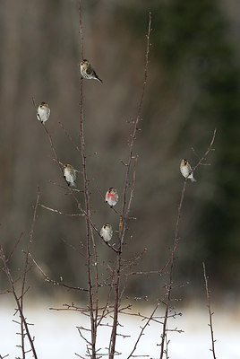 BUITEN BEELD Foto: 261403