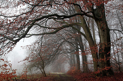 BUITEN BEELD Foto: 261423