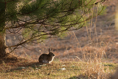 BUITEN BEELD Foto: 261429