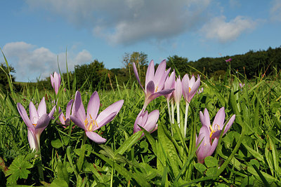 BUITEN BEELD Foto: 261450