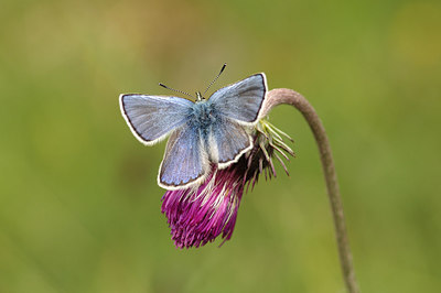 BUITEN BEELD Foto: 261494