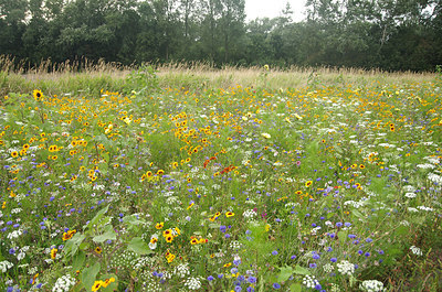 BUITEN BEELD Foto: 261498