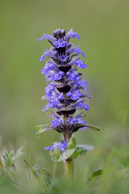BUITEN BEELD Foto: 261565