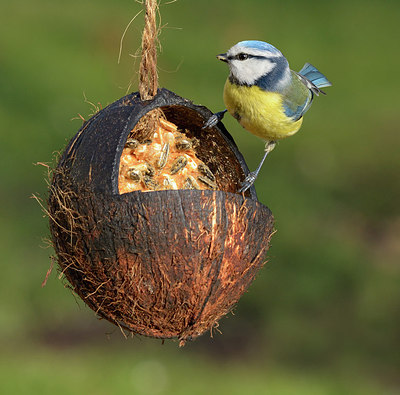 BUITEN BEELD Foto: 261749