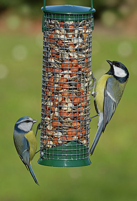BUITEN BEELD Foto: 261755