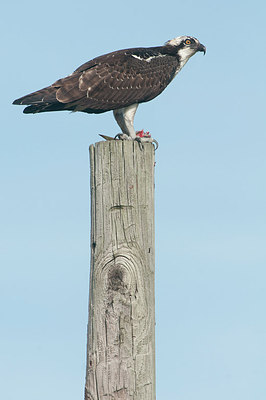 BUITEN BEELD Foto: 261804