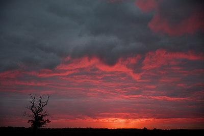 BUITEN BEELD Foto: 261822