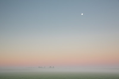 BUITEN BEELD Foto: 261837