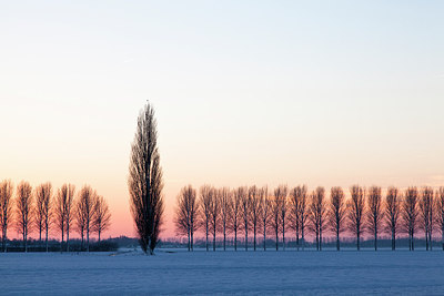 BUITEN BEELD Foto: 261861