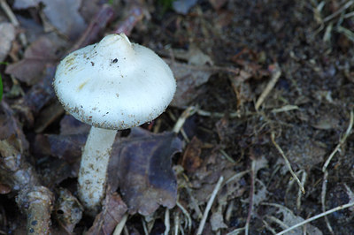 BUITEN BEELD Foto: 261866