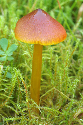 BUITEN BEELD Foto: 261874