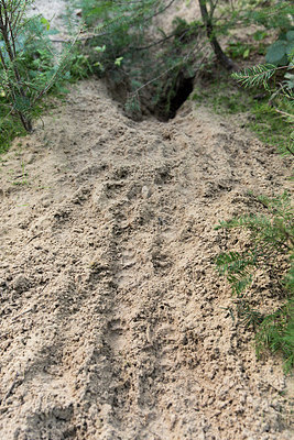 BUITEN BEELD Foto: 262007