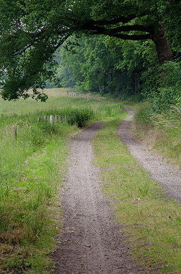 BUITEN BEELD Foto: 262027