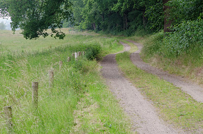 BUITEN BEELD Foto: 262028