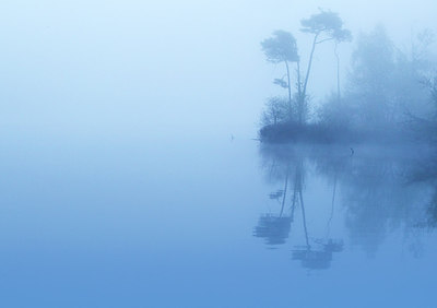 BUITEN BEELD Foto: 262032