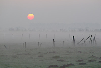 BUITEN BEELD Foto: 262037